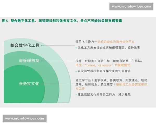 以学习能力为核心驱动打造高效成长路径与终身进化体系探索