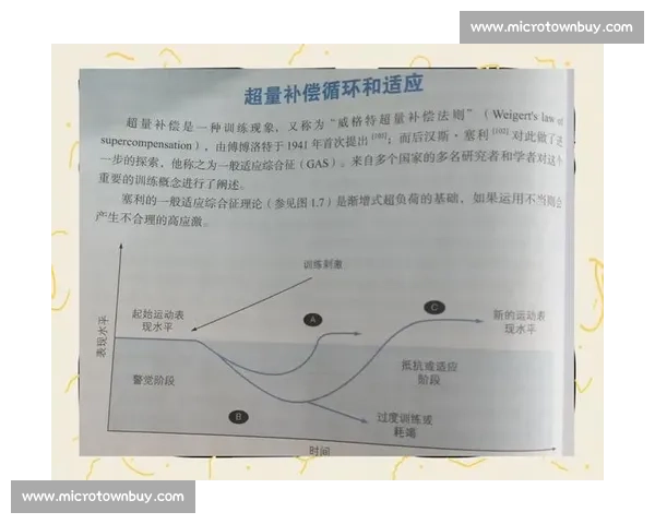 体育科学视角下运动表现提升与身体机能优化策略研究 体育科学视角下运动表现提升与身体机能优化策略研究