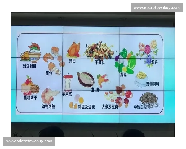 提升身体素质与心理健康的科学运动指南与日常实践